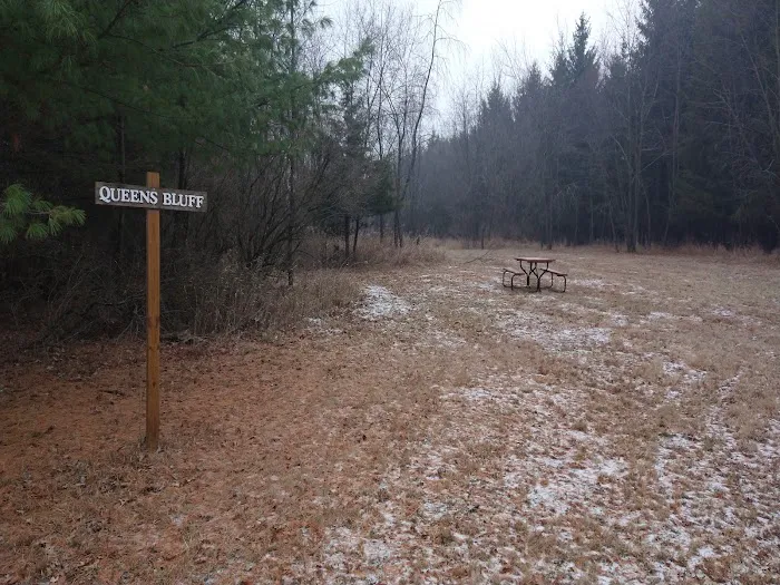 #8 Queens Bluff camp site 0
