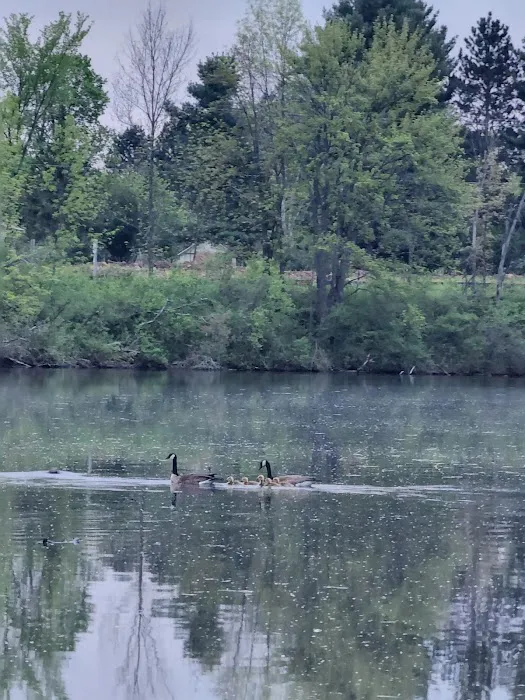 Doolittle Park 9