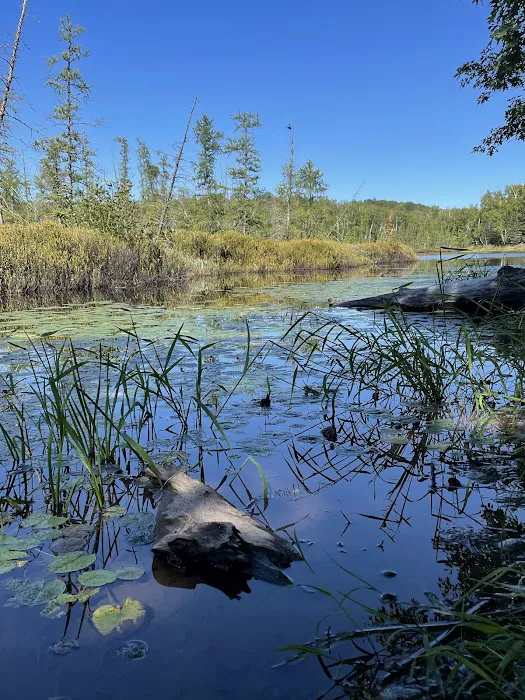 Audie Flowage-Perch Lake Campground 8