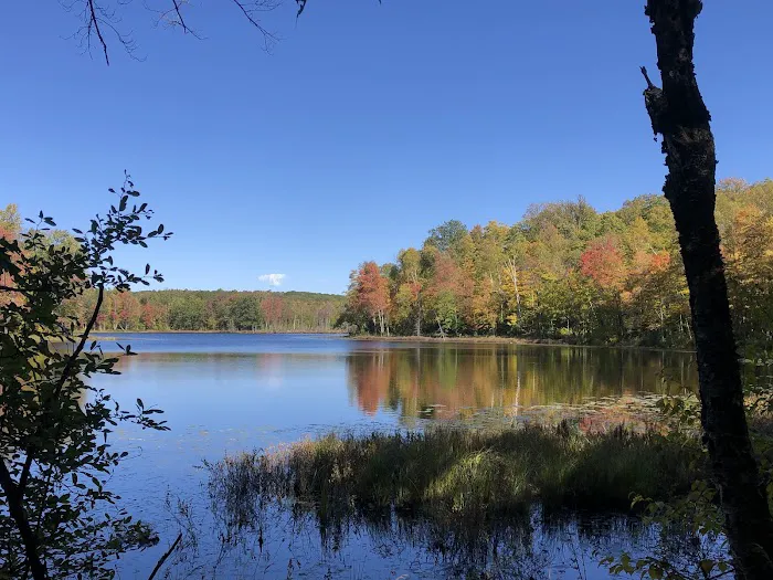 Audie Flowage-Perch Lake Campground 5