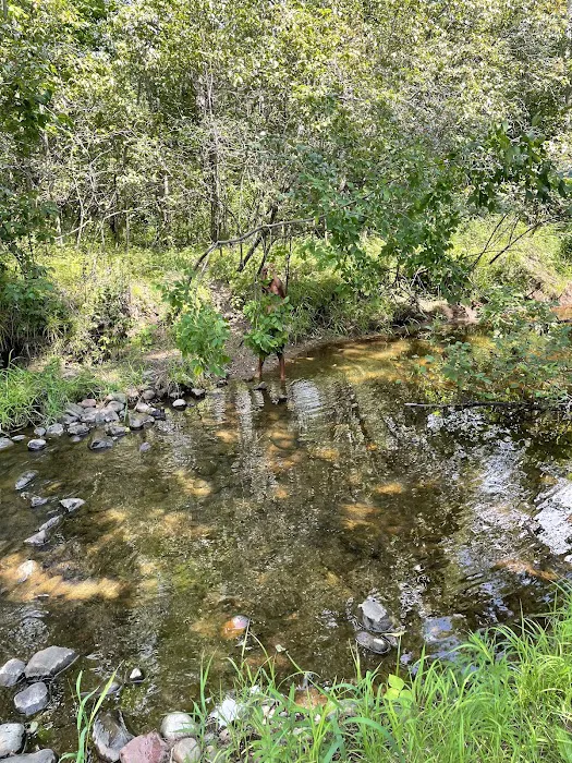 Lil’ Bit Campground 1