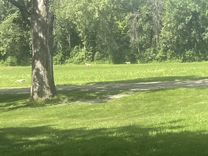 Finstad's Oak Haven Campground 0