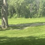 Finstad's Oak Haven Campground
