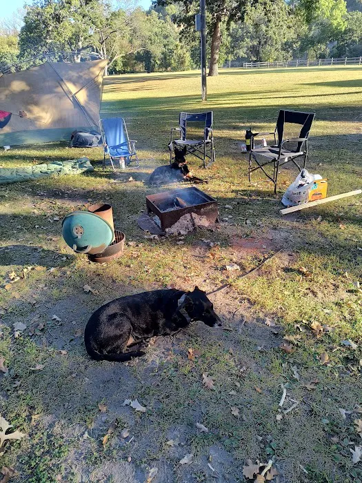 Shady Oaks Campground 2