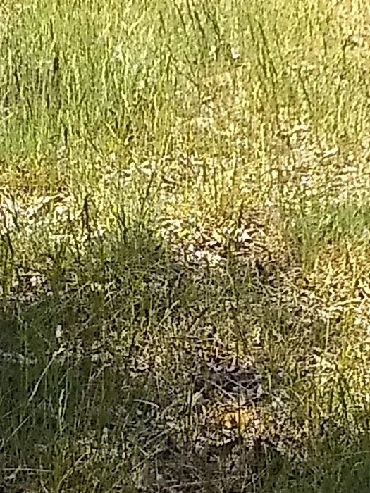 Knob Hill Campground 4