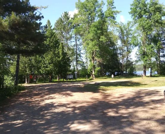 Clint Converse State Forest Campground
