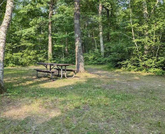 Mabel Lake Campground