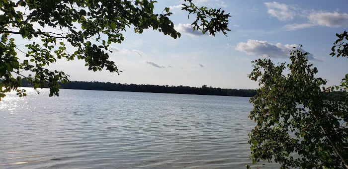 Mabel Lake Campground 2