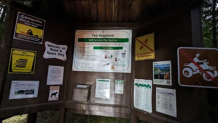 Mabel Lake Campground 3