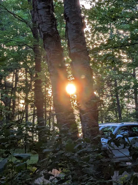 Mabel Lake Campground 9