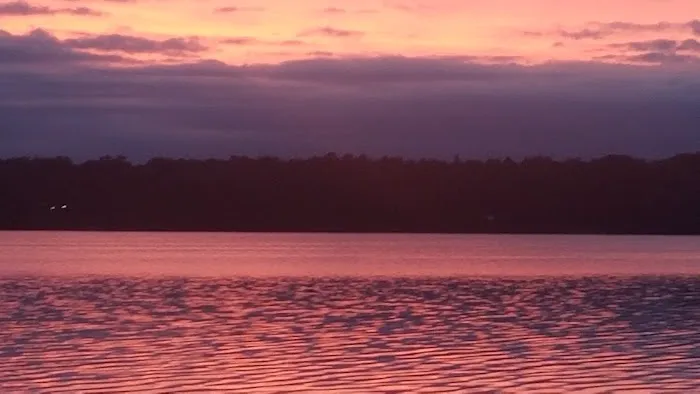 Mabel Lake Campground 8