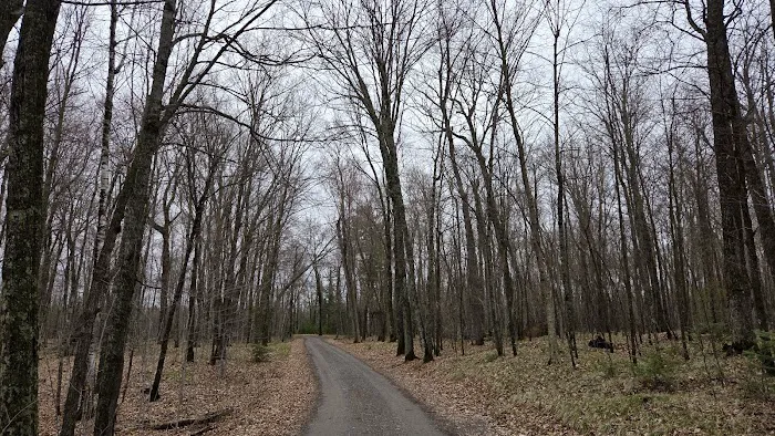 Hay Lake Campground 5