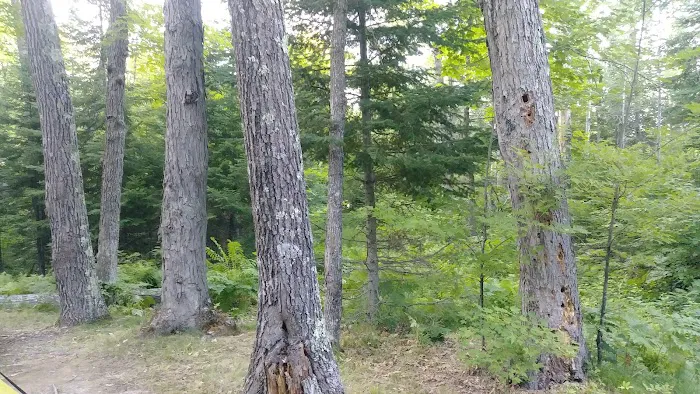 Hay Lake Campground 4