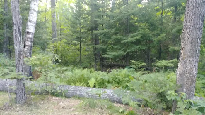 Hay Lake Campground 7