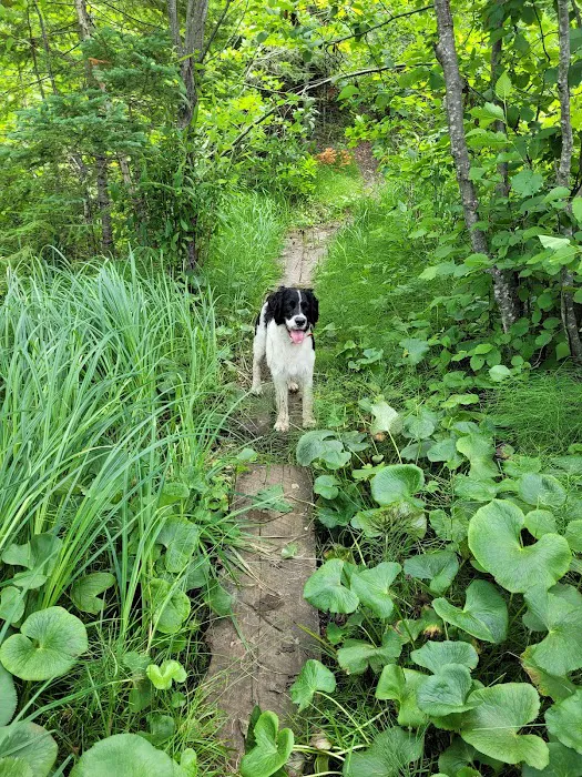 Hay Lake Campground 9