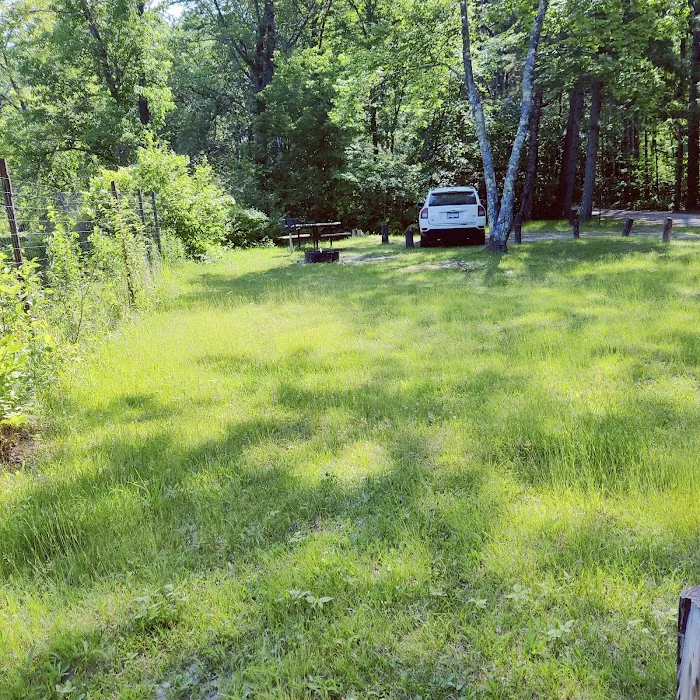 Jacobson Campground 6