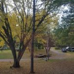 Sandy Pines Campground LLC