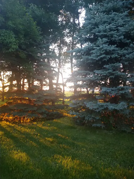 Magnolia City Park and Campground 2