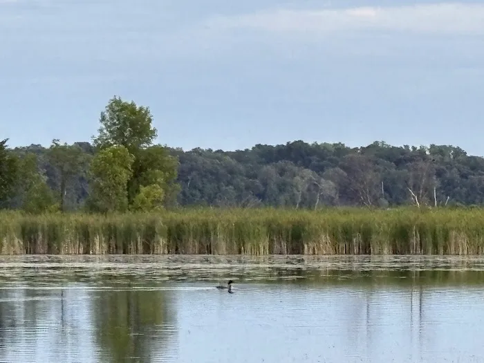 Panfish Landing 4