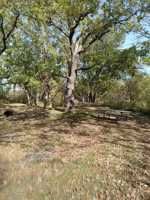 Group Camp 3