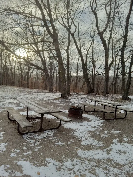 Maplewood Group Camp 4