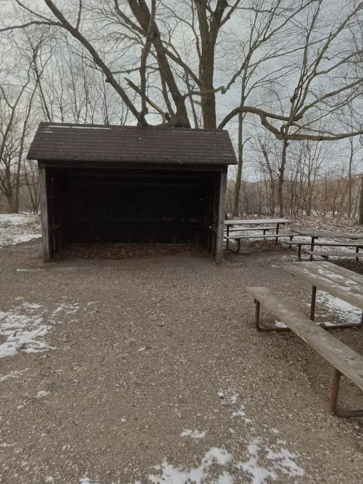 Maplewood Group Camp 3