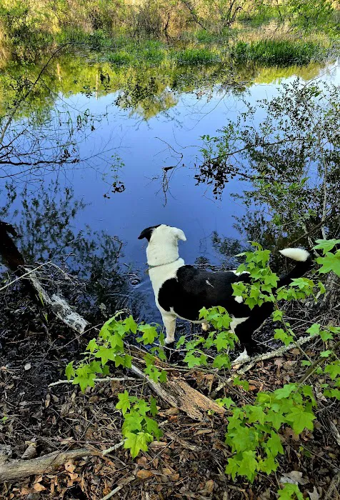 Caney Trails RV Resort 3