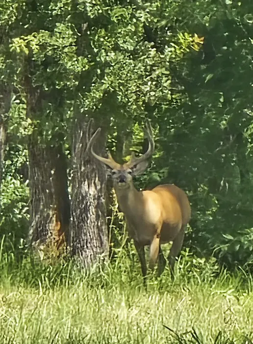 Caney Trails RV Resort 9