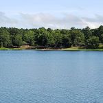 Tyler State Park Big Pine Campgrounds