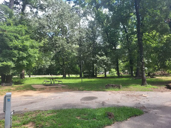 Tyler State Park Big Pine Campgrounds 3