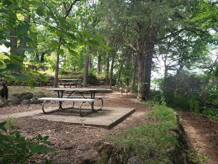 Tyler State Park Big Pine Campgrounds 2