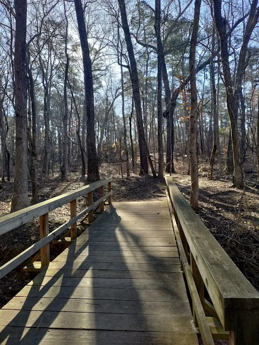 Tyler State Park Big Pine Campgrounds 6