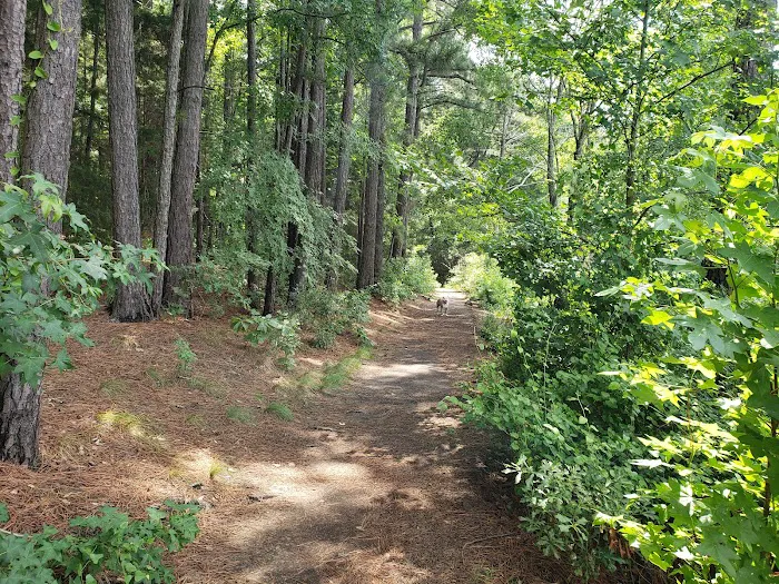 Tyler State Park Big Pine Campgrounds 4