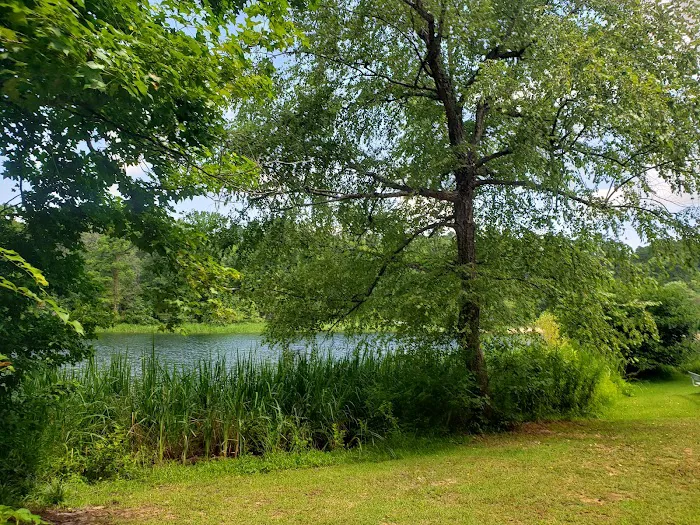 Tyler State Park Big Pine Campgrounds 8