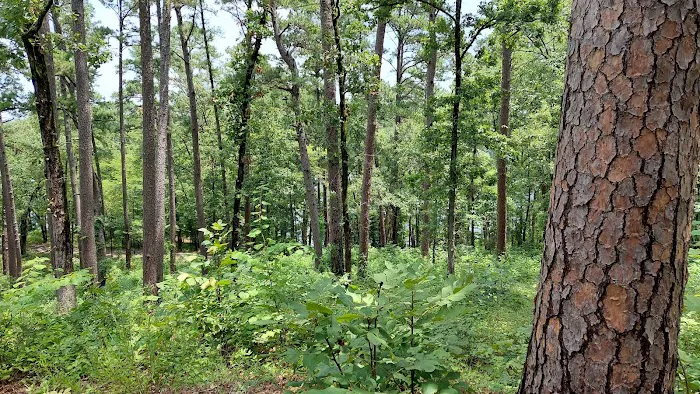 Tyler State Park Cedar Point Campgrounds 0