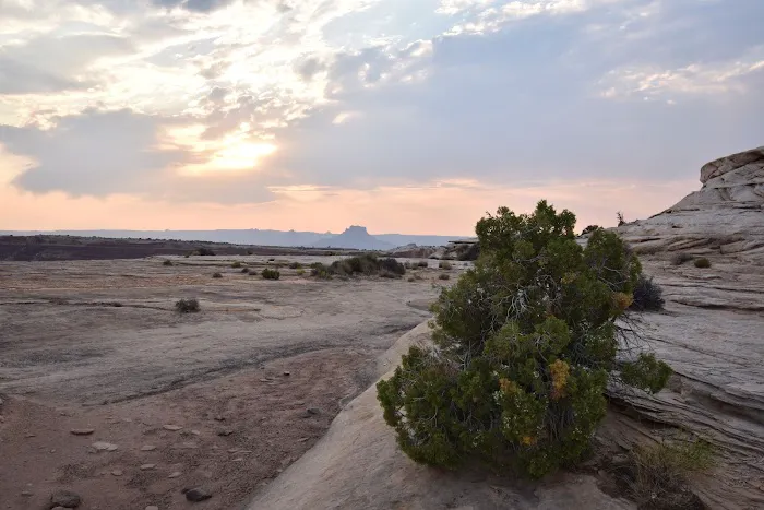 White Crack Campground 7