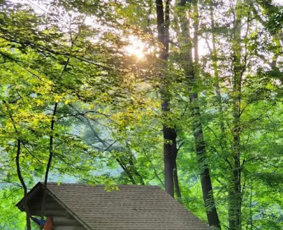 Cedar Creek Trekker Campground
