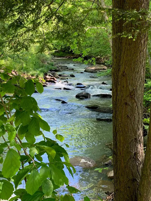 Yellow Creek Campground 1