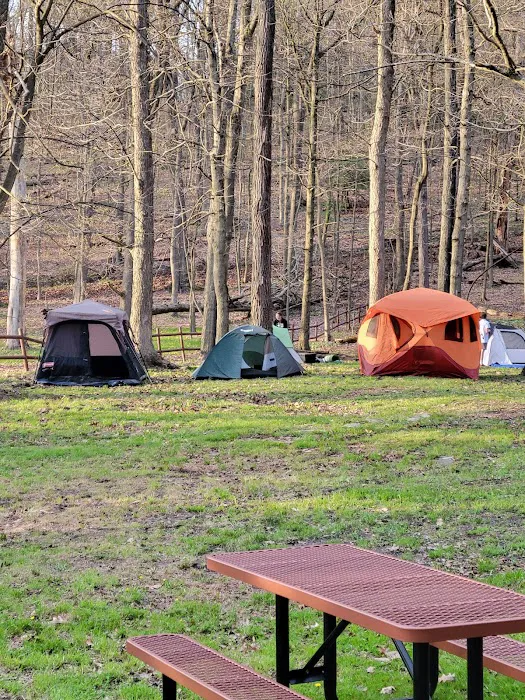 Kiski Group Campground 2