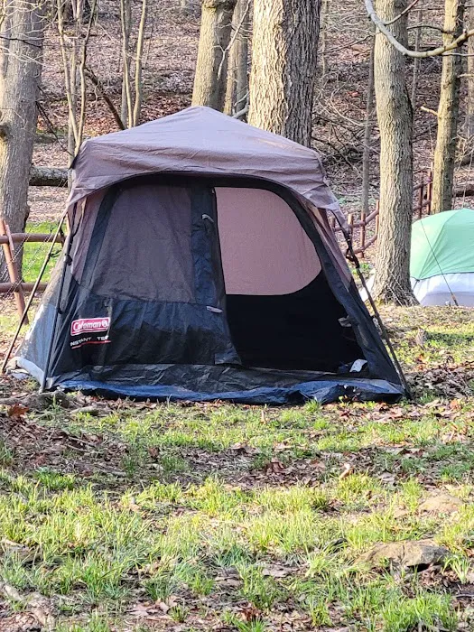 Kiski Group Campground 4