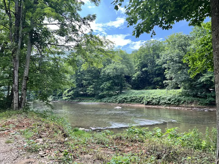 Chess Falls Campground 4
