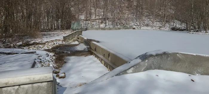 Nanty Glo Park and Pool 6