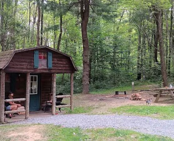 Curwensville Lake Recreation