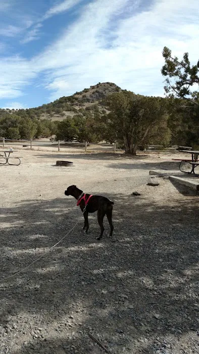 Oasis Campground 5