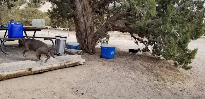 Oasis Campground 9
