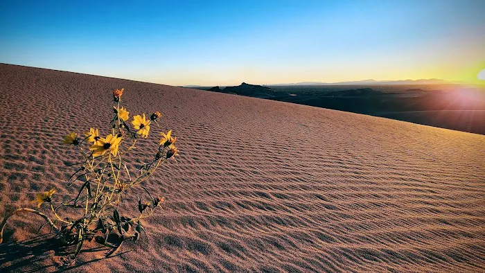 Sand Mountain Campground 5