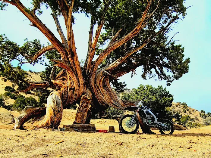 Sand Mountain Campground 7