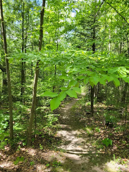 Jewell Lake Campground 8