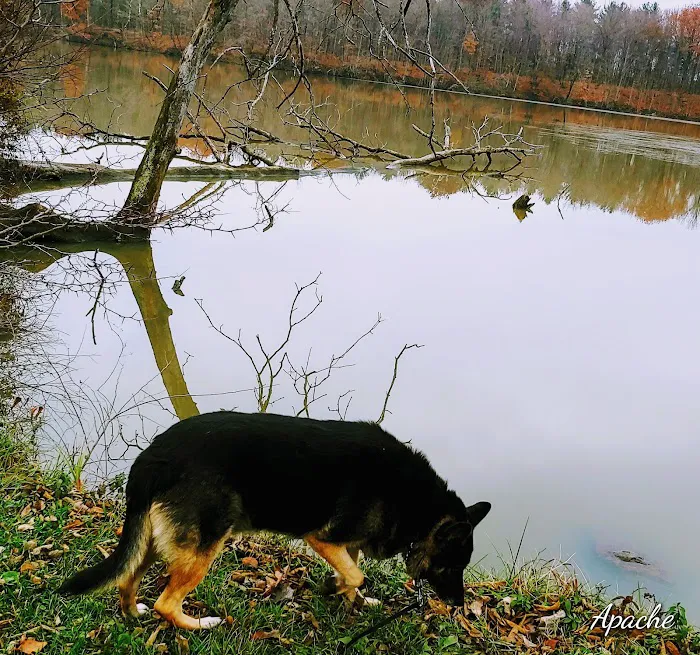 Van Buren State Park Campground 8