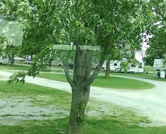 Easy Campground